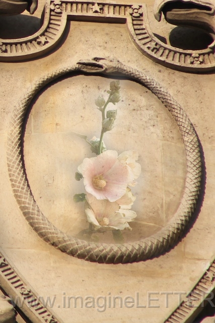 Wall_Art_Alphabet_Photography_Art_ 1684.jpg